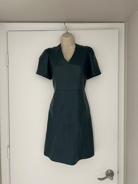 Ann Taylor Factory Dark Green Faux Leather V-Neck Mini Dress